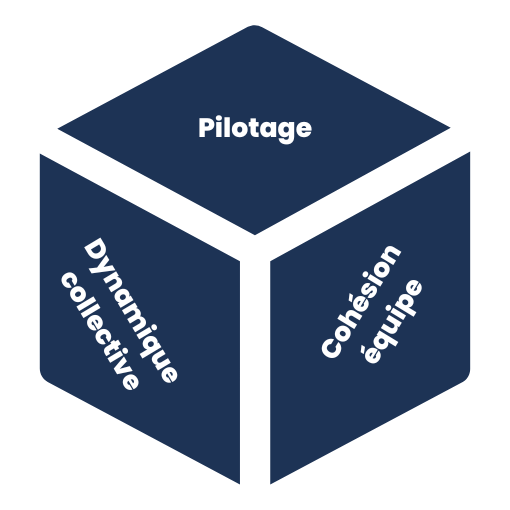 schema-aem-cube Schéma de la matrice AEM Cube