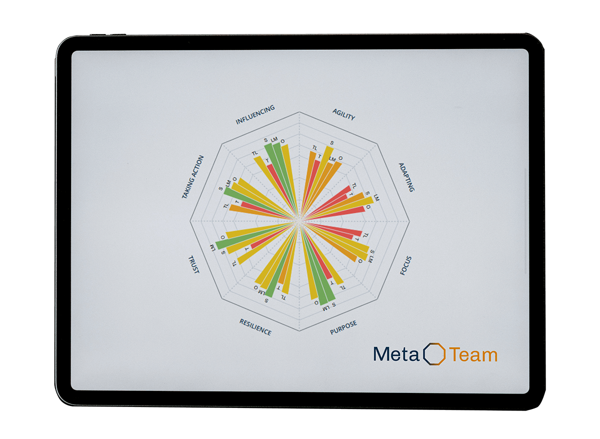 Meta Team tools for management performance learning partners